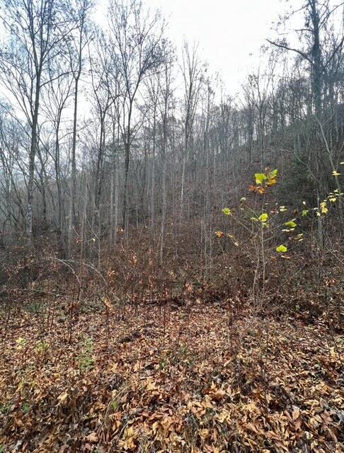 288 Frost Bottom Rd, Oliver Springs, TN 37840
