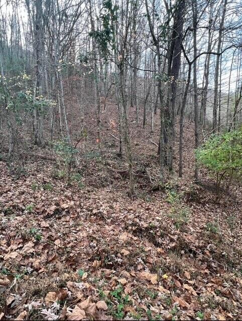 288 Frost Bottom Rd, Oliver Springs, TN 37840
