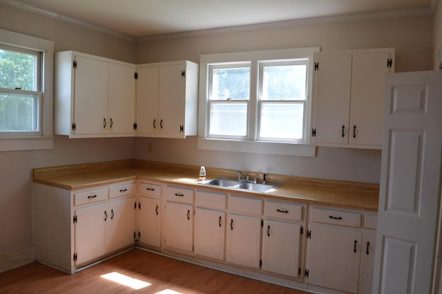 912 N Price St, Sweetwater, TN 37874 - kitchen featuring a sink, healthy amount of natural light, light wood-style flooring, light countertops, and crown molding