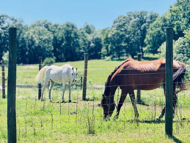7015 Gamble Rd, Birchwood, TN 37308 - stable featuring a rural view