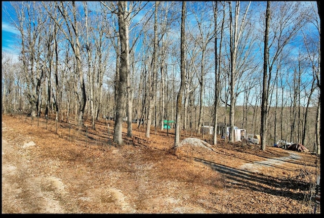 815 Chestnut Ridge Rd, Spring City, TN 37381 - view of yard
