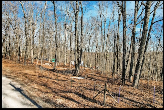 815 Chestnut Ridge Rd, Spring City, TN 37381 - view of yard