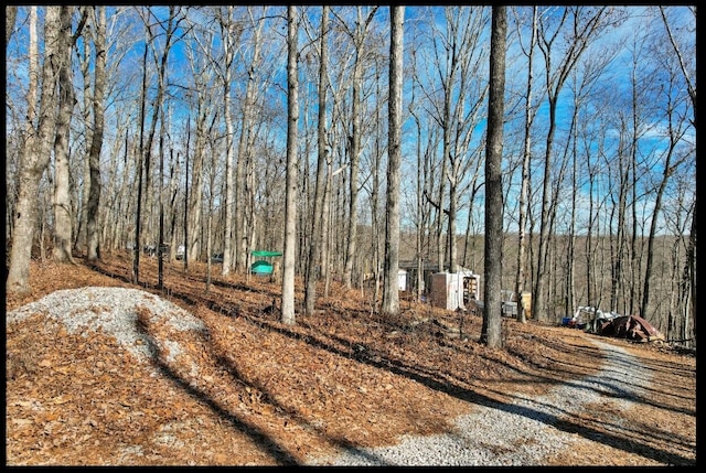 815 Chestnut Ridge Rd, Spring City, TN 37381 - view of yard featuring a view of trees
