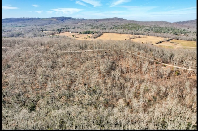 815 Chestnut Ridge Rd, Spring City, TN 37381 - bird's eye view of a mountain backdrop