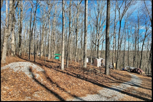 815 Chestnut Ridge Rd, Spring City, TN 37381 - view of yard with a forest view