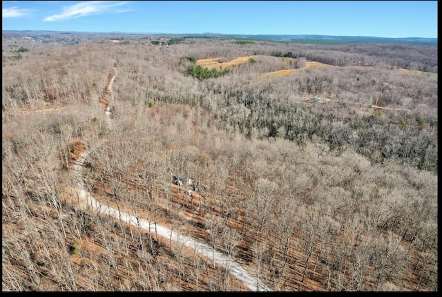 815 Chestnut Ridge Rd, Spring City, TN 37381 - drone / aerial view