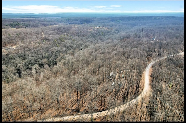 815 Chestnut Ridge Rd, Spring City, TN 37381 - bird's eye view of a heavily wooded area