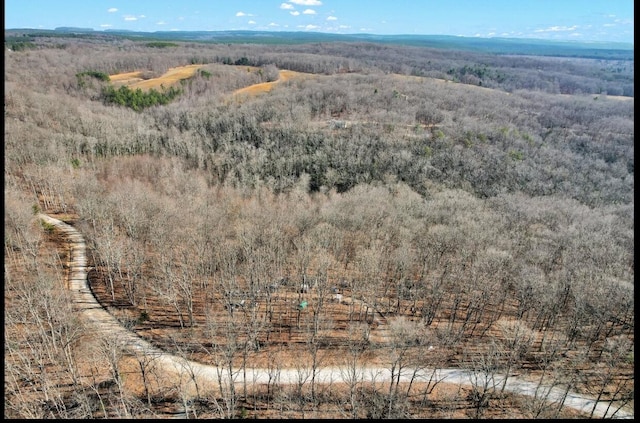 815 Chestnut Ridge Rd, Spring City, TN 37381 - aerial view of a heavily wooded area