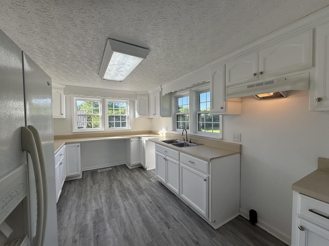 608 Bleeker St, Bridgeport, AL 35740 - kitchen featuring white refrigerator with ice dispenser, a sink, under cabinet range hood, dark wood finished floors, and white cabinets
