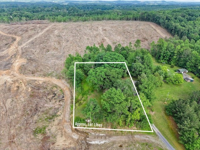 3650 Waring Rd, Dalton, GA 30721 - aerial view of property and surrounding area featuring a forest and property parcel outlined