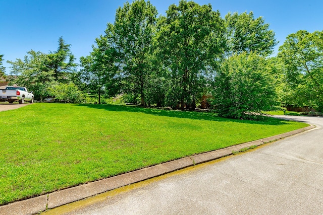 8102 Paces Ferry Xing, Chattanooga, TN 37421 - view of green lawn