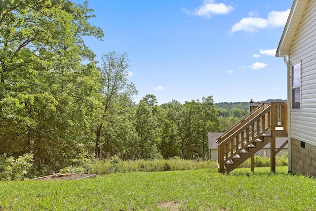 1008 Durgan Pl, Dalton, GA 30721 - view of yard with stairway and a view of trees