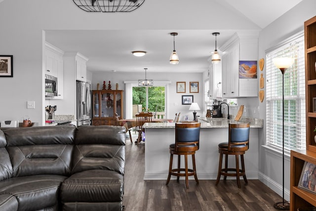 1008 Durgan Pl, Dalton, GA 30721 - kitchen featuring open floor plan, appliances with stainless steel finishes, dark wood finished floors, white cabinets, and lofted ceiling