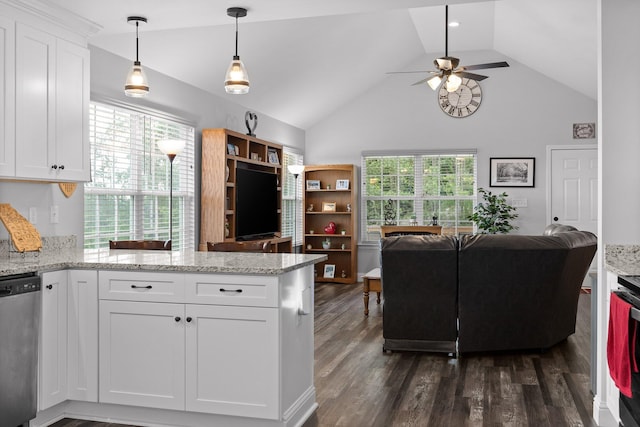 1008 Durgan Pl, Dalton, GA 30721 - kitchen with dishwasher, open floor plan, a peninsula, white cabinetry, and high vaulted ceiling