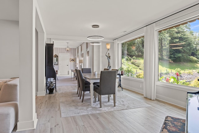 4274 Lakeshore Ln Unit 102, Chattanooga, TN 37415 - dining area featuring light wood finished floors and baseboards