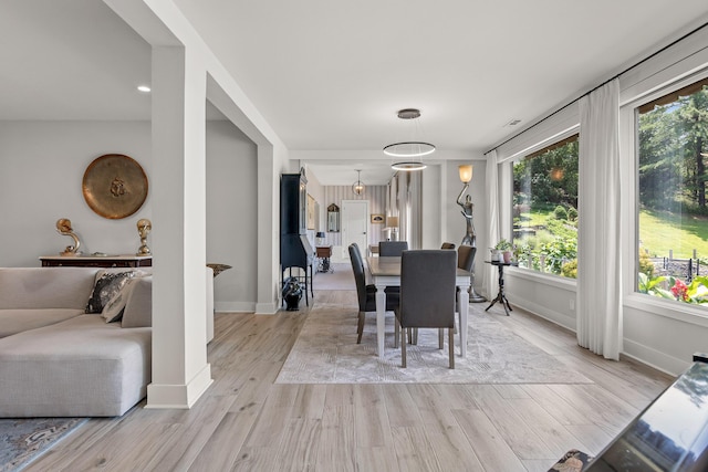 4274 Lakeshore Ln Unit 102, Chattanooga, TN 37415 - dining space featuring light wood finished floors and baseboards