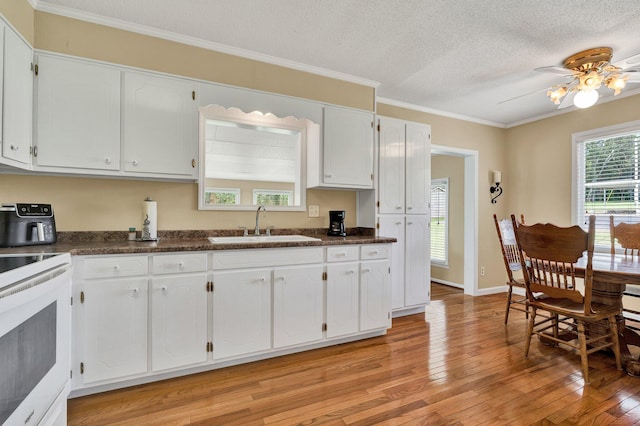 971 Hamilton Cir NW, Cleveland, TN 37312 - kitchen featuring a sink, light wood-type flooring, white electric stove, dark countertops, and ornamental molding