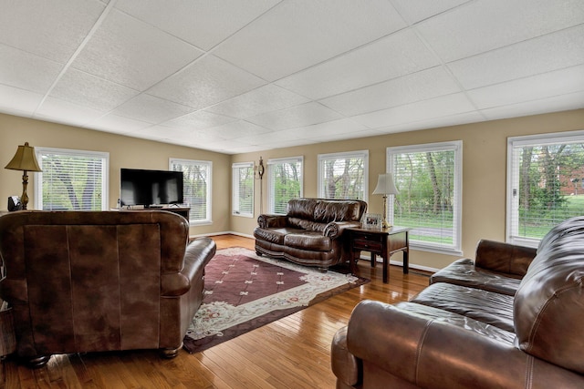 971 Hamilton Cir NW, Cleveland, TN 37312 - living room featuring hardwood / wood-style floors, a drop ceiling, plenty of natural light, and baseboards