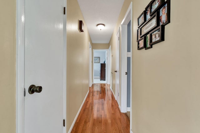 971 Hamilton Cir NW, Cleveland, TN 37312 - hall featuring wood finished floors and baseboards
