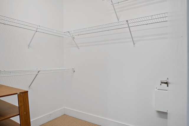 129 Walnut St Unit 212, Chattanooga, TN 37403 - view of spacious closet