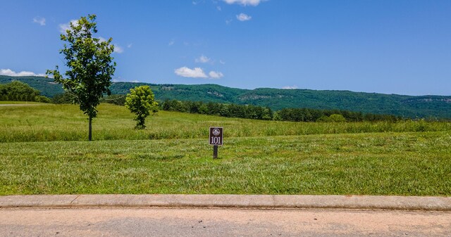 100 River Ridge Drive, Dunlap, TN 37327 - photo 9