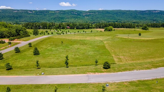 100 River Ridge Drive, Dunlap, TN 37327 - photo 10
