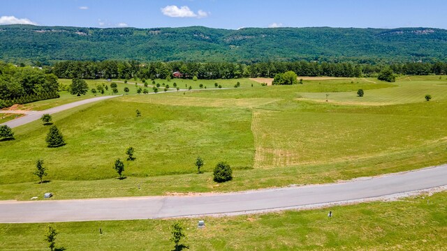 100 River Ridge Drive, Dunlap, TN 37327 - photo 11