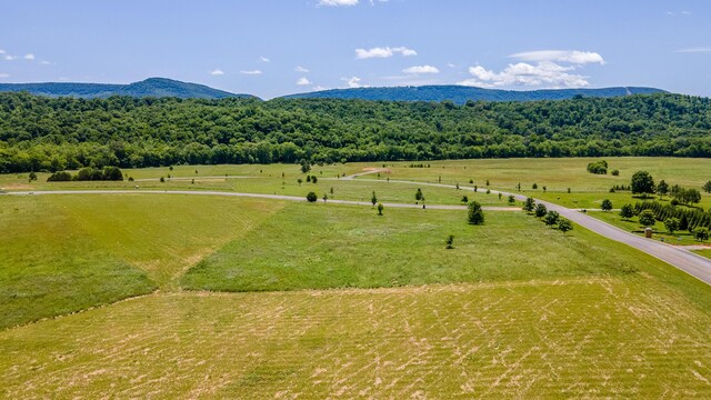 100 River Ridge Drive, Dunlap, TN 37327 - photo 13