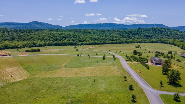 100 River Ridge Drive, Dunlap, TN 37327 - photo 14