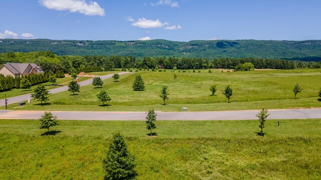 100 River Ridge Drive, Dunlap, TN 37327 - photo 18