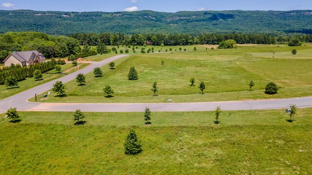 100 River Ridge Drive, Dunlap, TN 37327 - photo 19