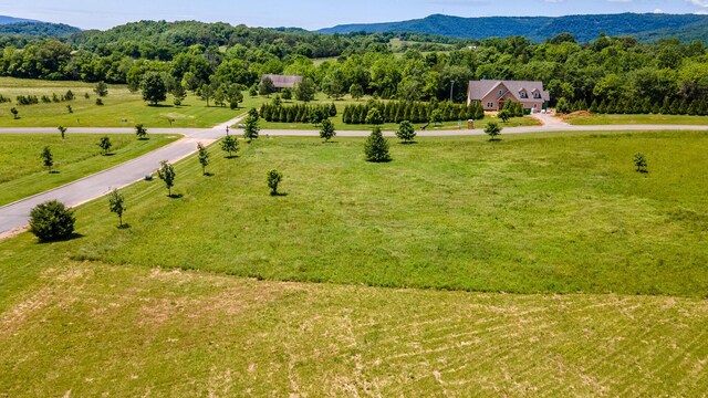 100 River Ridge Drive, Dunlap, TN 37327 - photo 20