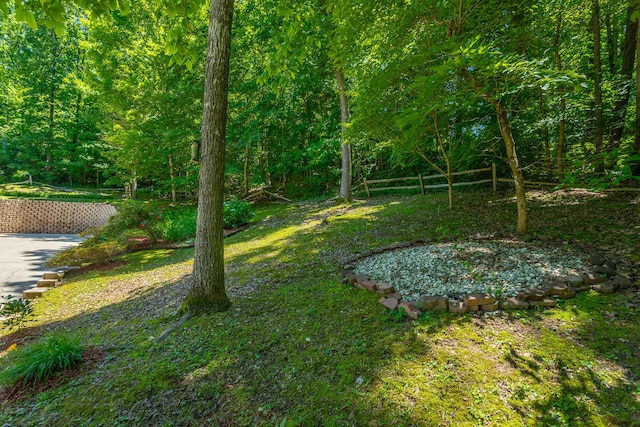 375 Cody Way, Tunnel Hill, GA 30755 - view of yard with a view of trees