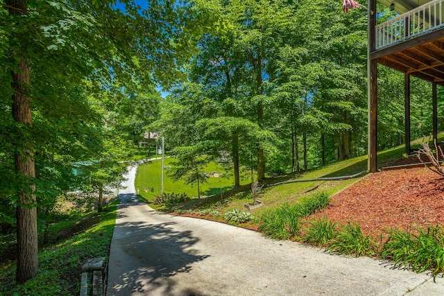 375 Cody Way, Tunnel Hill, GA 30755 - view of community