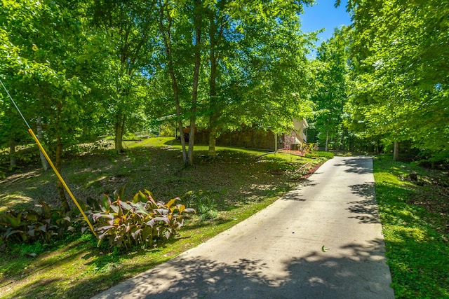375 Cody Way, Tunnel Hill, GA 30755 - view of road