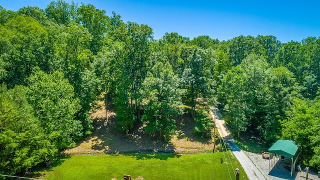 375 Cody Way, Tunnel Hill, GA 30755 - drone / aerial view of a forest