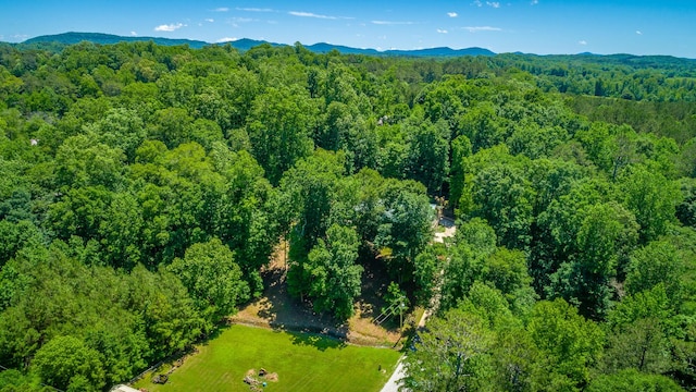 375 Cody Way, Tunnel Hill, GA 30755 - bird's eye view of a forest and a mountainous background