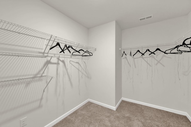 304 Draft St, Rossville, GA 30741 - walk in closet with carpet flooring