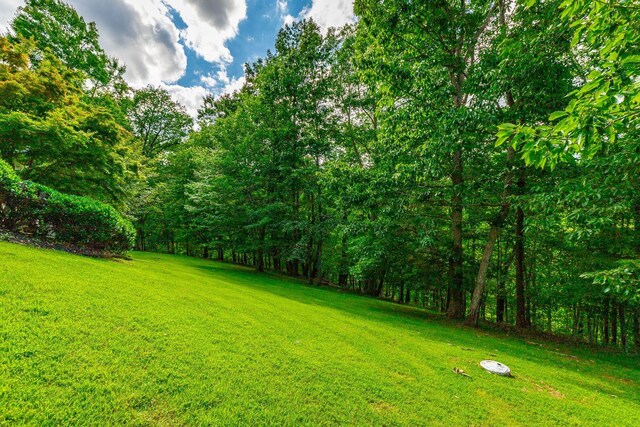2519 Alpine Bluff Trl, Ooltewah, TN 37363 - photo 132