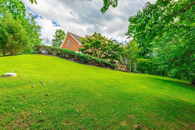 2519 Alpine Bluff Trl, Ooltewah, TN 37363 - photo 126