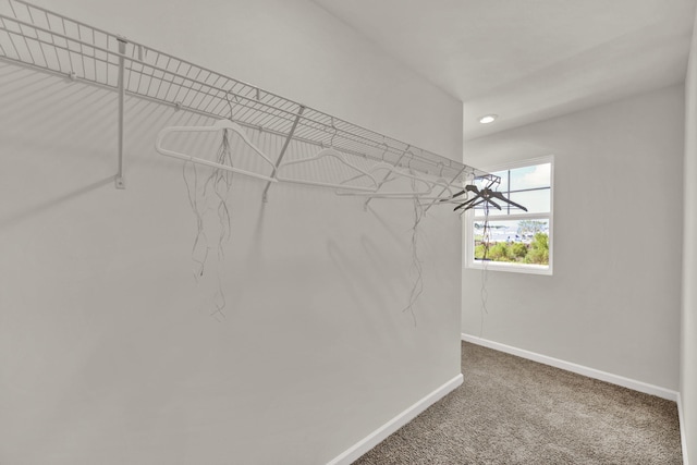 300 Draft St, Rossville, GA 30741 - walk in closet with carpet