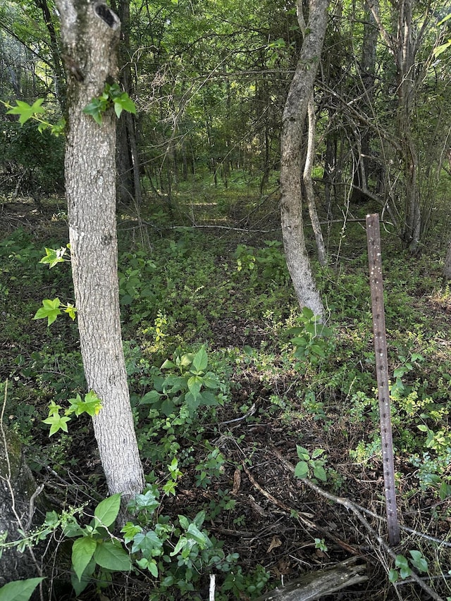 2301 Old Estill Springs Rd, Winchester, TN 37398
