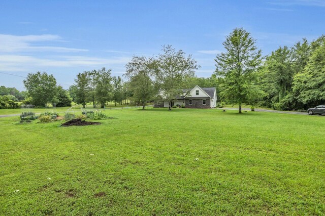 8012 Mcdonald Cemetery Rd, Ooltewah, TN 37363 - view of green lawn