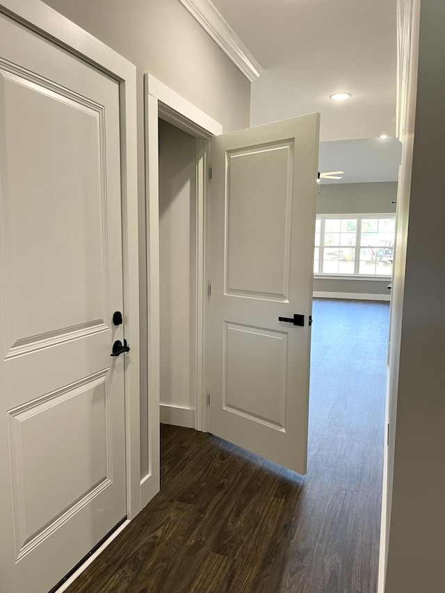 4958 Old State Highway 28, Dunlap, TN 37327 - corridor featuring dark wood-style flooring, baseboards, and recessed lighting