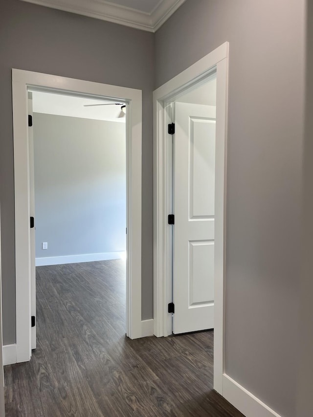 4958 Old State Highway 28, Dunlap, TN 37327 - hallway with crown molding, dark wood-style flooring, and baseboards
