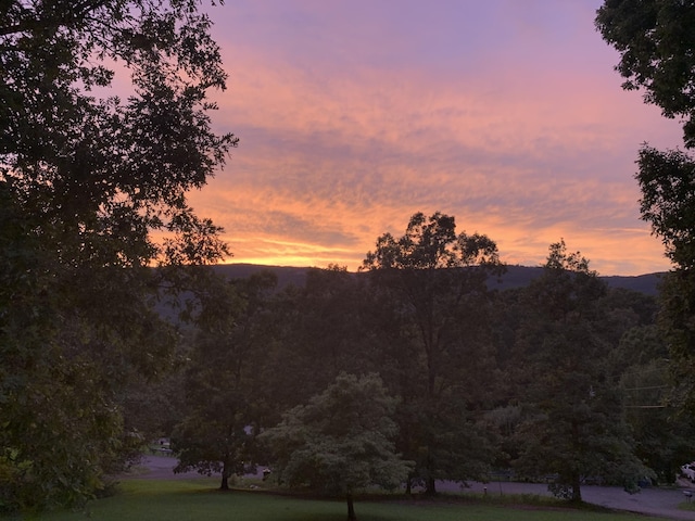 347 Highland Dr, Dunlap, TN 37327 - view of mountain background