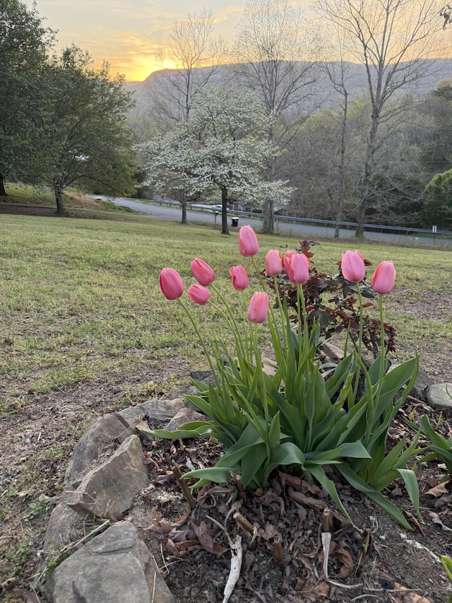 347 Highland Dr, Dunlap, TN 37327 - yard at dusk featuring a yard and a mountain view