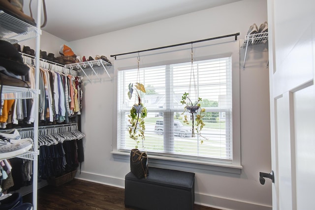 9117 Sir Hudson Ct, Harrison, TN 37341 - walk in closet featuring wood finished floors