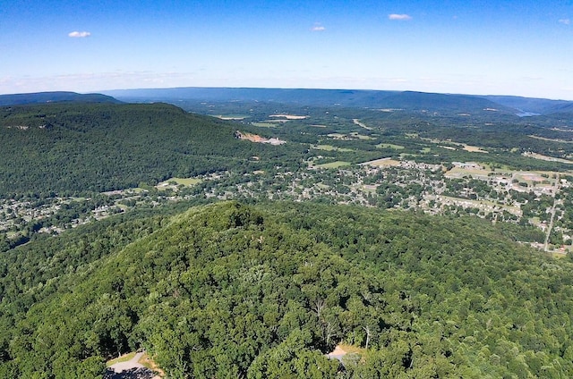 80 High Point Ln, Jasper, TN 37347