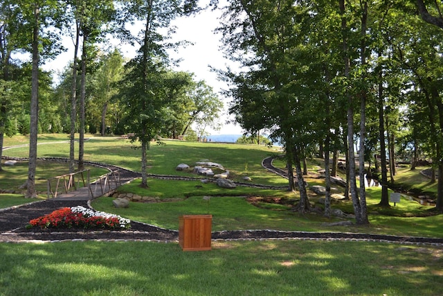 80 High Point Ln, Jasper, TN 37347